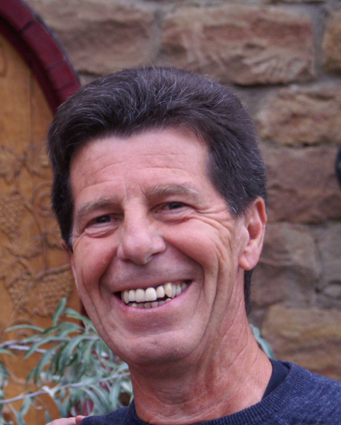 Hans Theis
